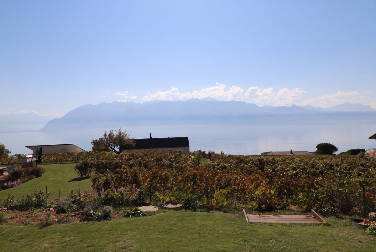 Magnifique opportunité! Appartement récent avec deux chambres, terrasse et jardin, vue panoramique sur le lac et les Alpes, une place de parc extérieure.